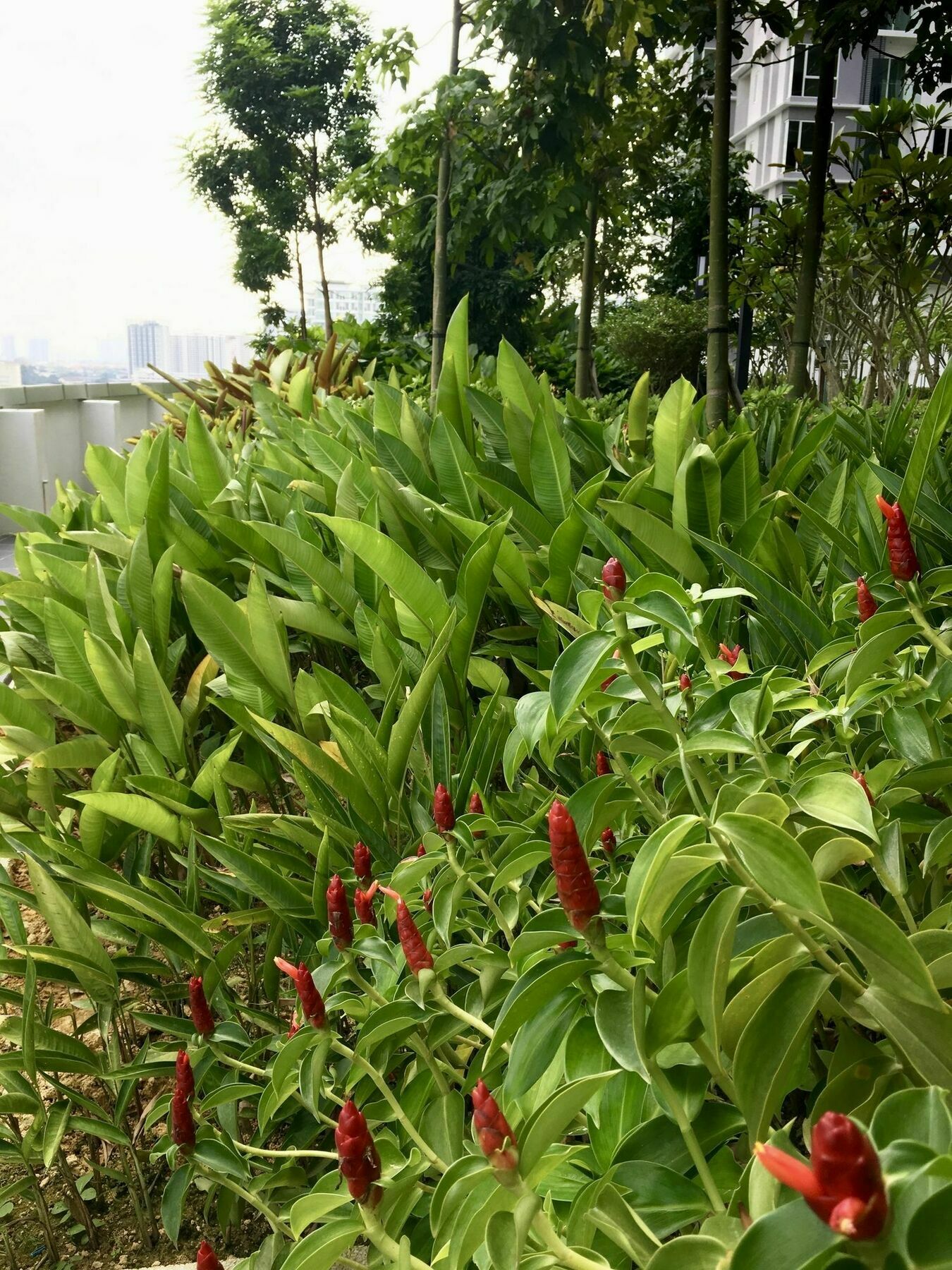 קואלה לומפור Southbank Residence Block B, Mid Valley @ De Space Kl מראה חיצוני תמונה